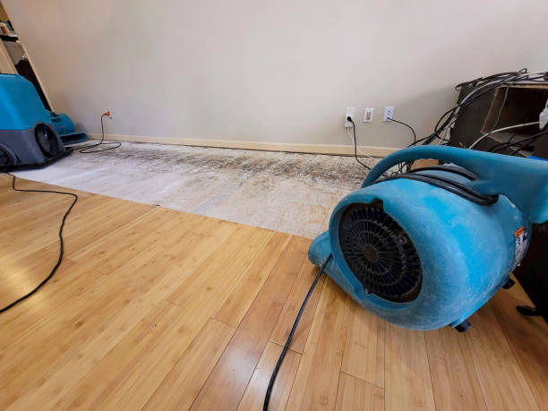 Professional Burst Pipe Water Damage technician working in Prosser, WA